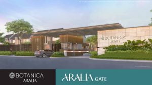 Aralia Bintaro
